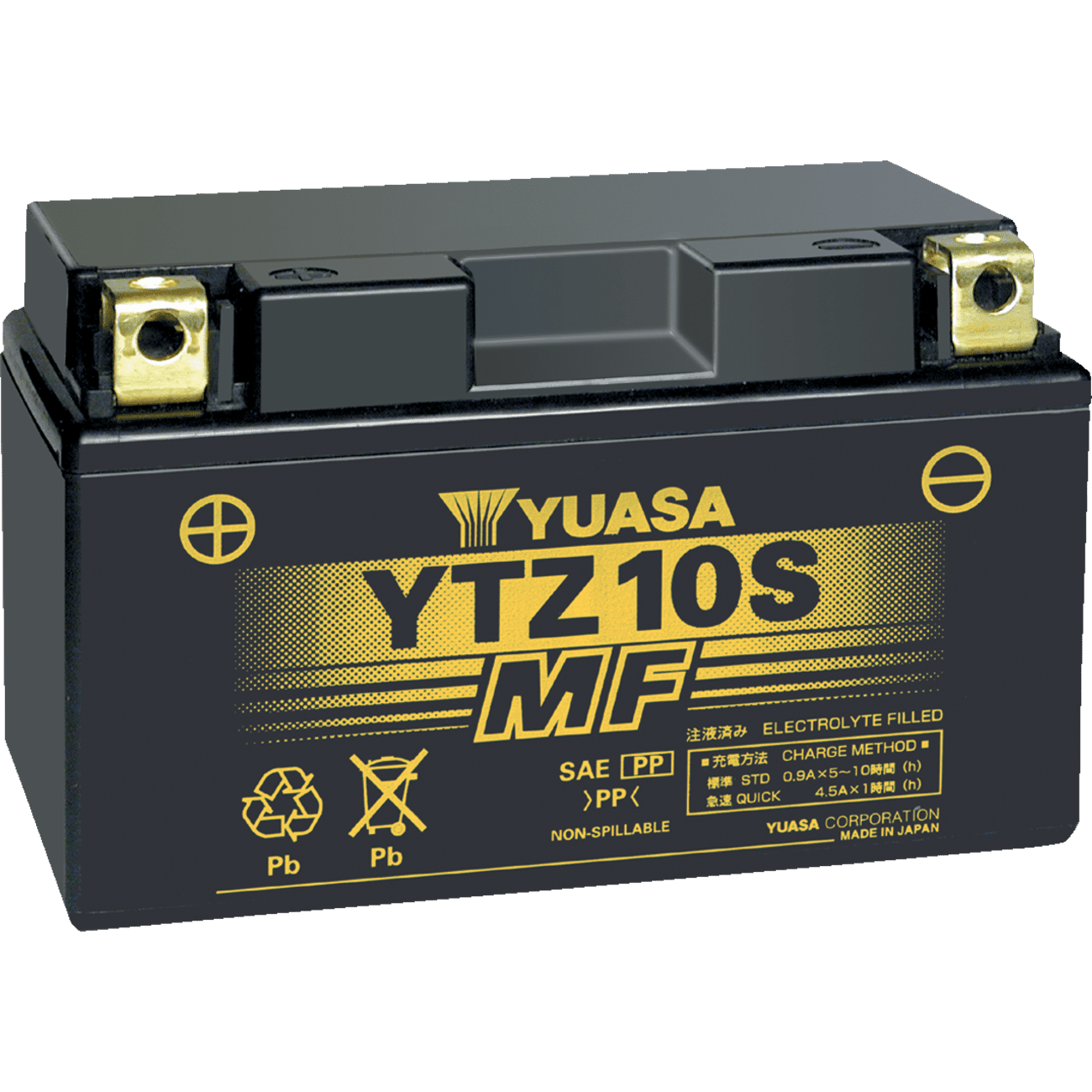 YUASA AGM Battery YTZ10S