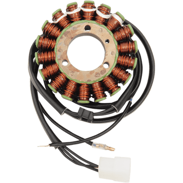 RICK'S MOTORSPORT ELECTRIC Stator Kawasaki 21242