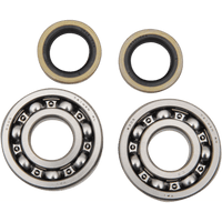 HOT RODS Crankshaft Bearings Kawasaki