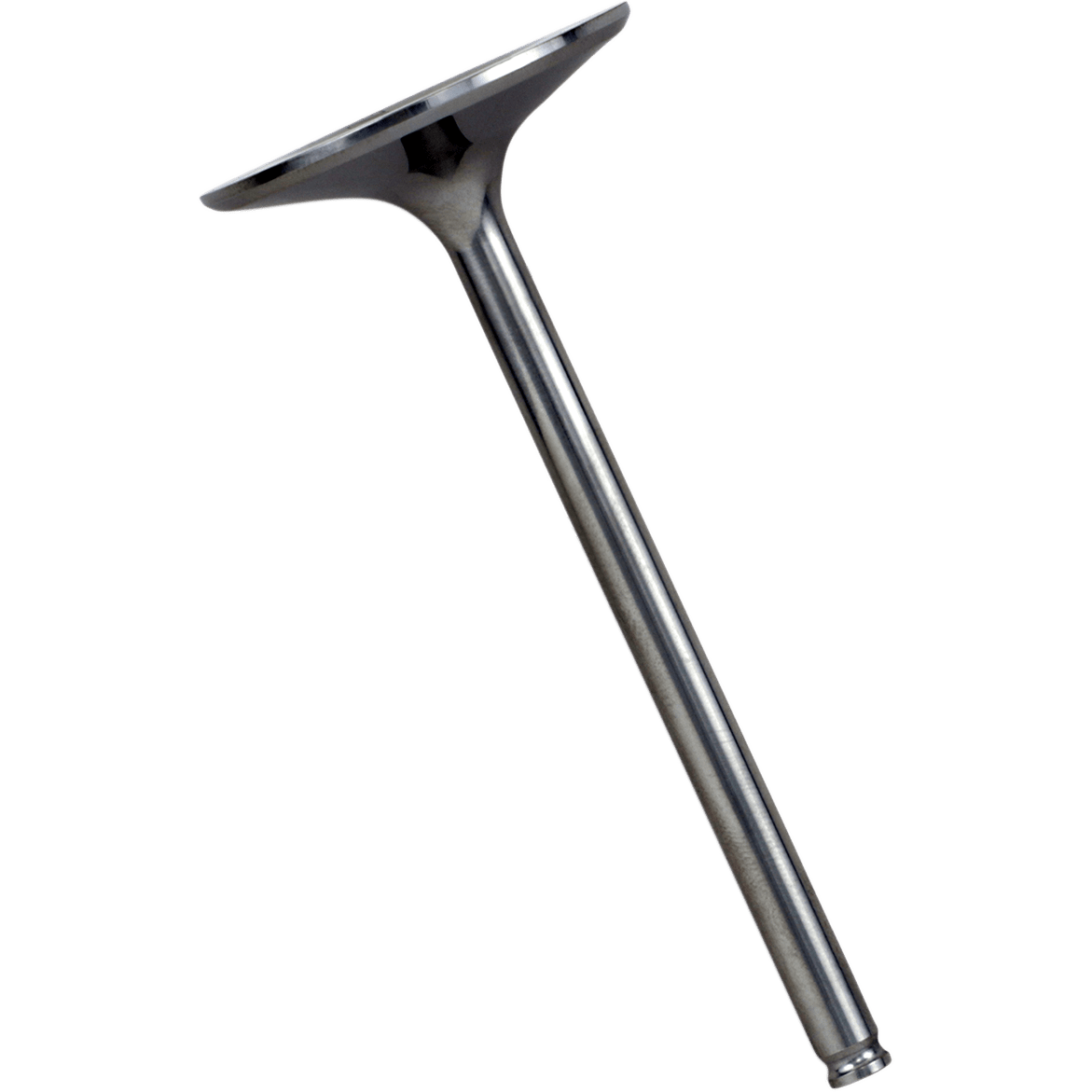 XCELDYNE Intake Valve