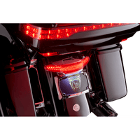 CIRO Taillight/License Plate Mount Smoke Lens Chrome