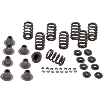 S&S CYCLE Spring Kit .605" M8