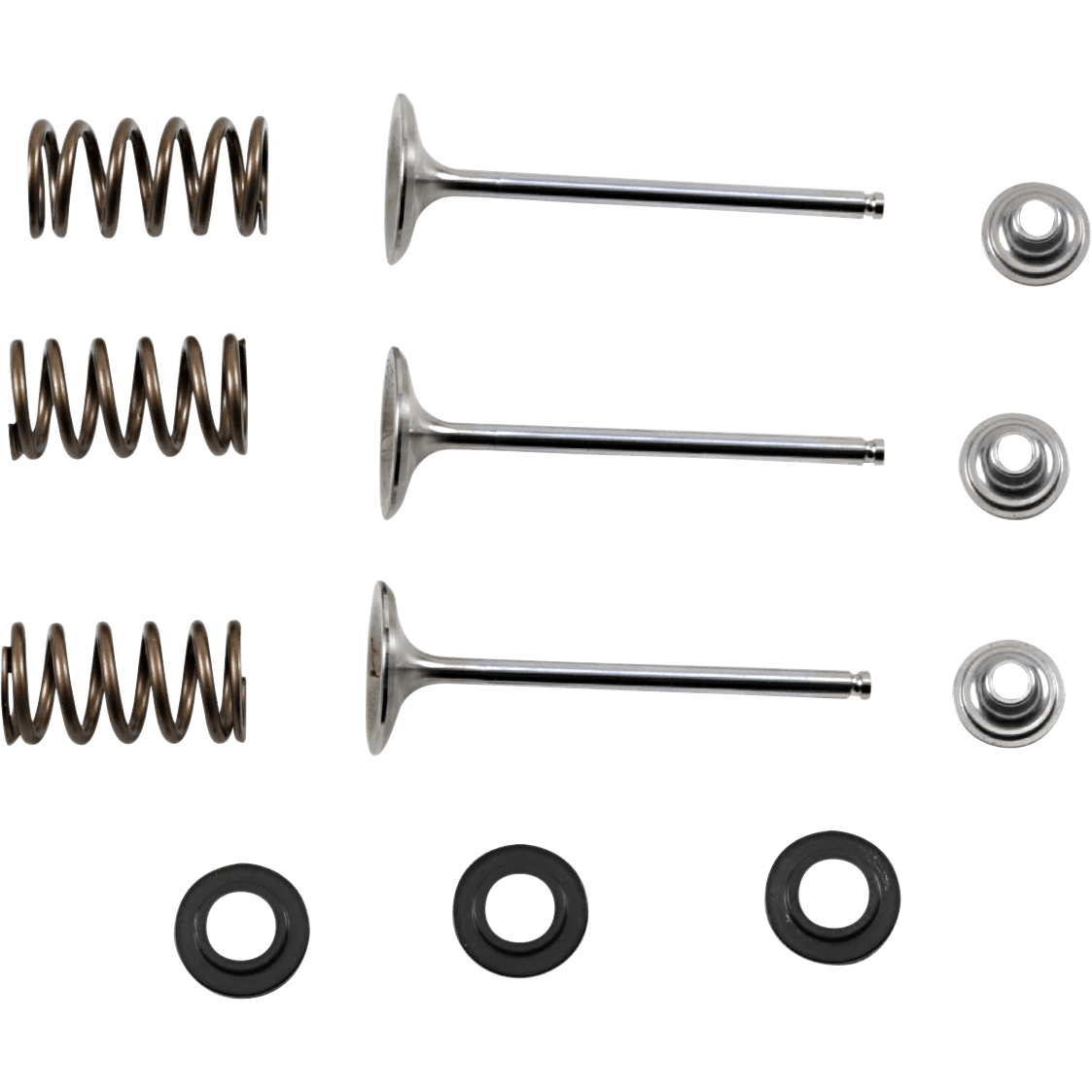 XCELDYNE Intake Valve Kit