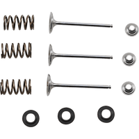 XCELDYNE Intake Valve Kit