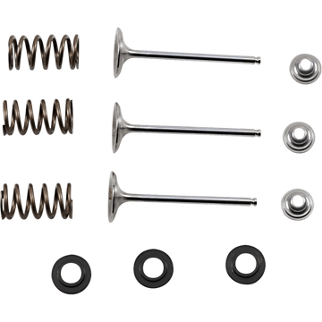 XCELDYNE Intake Valve Kit