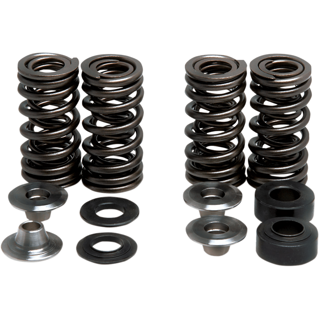 KIBBLEWHITE Valve Spring Kit 3030880