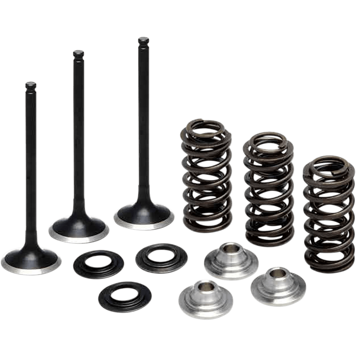 KIBBLEWHITE Valve Spring Kit