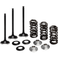 KIBBLEWHITE Valve Spring Kit