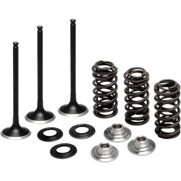 KIBBLEWHITE Valve Spring Kit