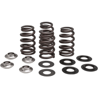 KIBBLEWHITE Beehive Valve Spring Kit