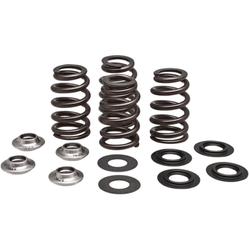 KIBBLEWHITE Beehive Valve Spring Kit