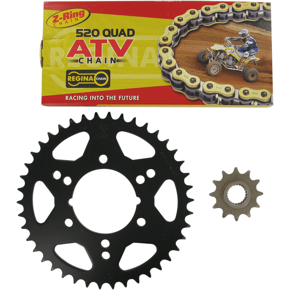 REGINA Chain and Sprocket Kit Polaris Trail Boss 250 '95-'99/Trail Blazer 250 '96-'99 5QUAD/088KPO001