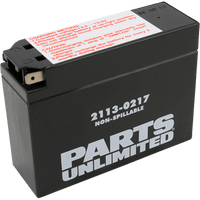 PARTS UNLIMITED AGM Battery YT4B-BS