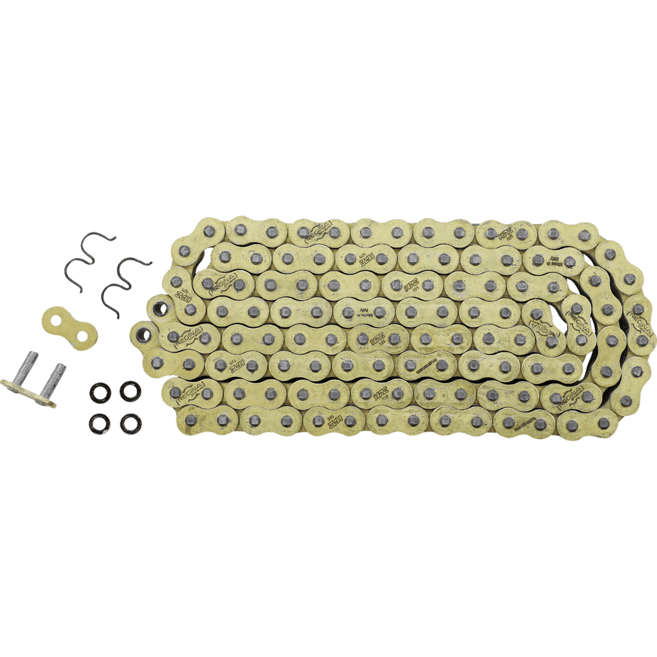 REGINA 525 HPE Drive Chain 120 Links 137HPE/1007