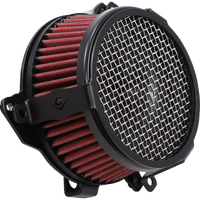 COBRA Air Cleaner Kit Black 606010303BSB