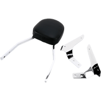 COBRA Sissy Bar Standard Stryker 025270