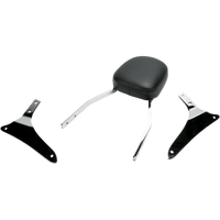 COBRA Sissy Bar Standard VN 1700 025465