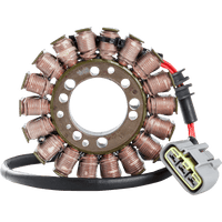 RICK'S MOTORSPORT ELECTRIC Stator Yamaha 21410