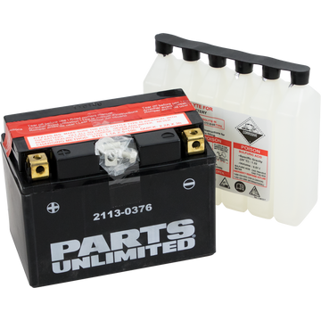 PARTS UNLIMITED AGM Battery YTZ12S-BS