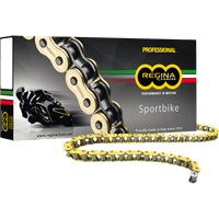 REGINA 520 ZRP Drive Chain 120 Links 135ZRP/00E