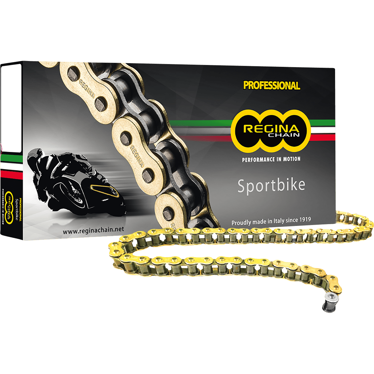 REGINA 530 ZRP Drive Chain 120 Links 136ZRP2/1009